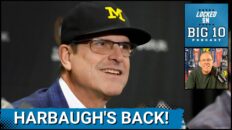 Jim Harbaugh