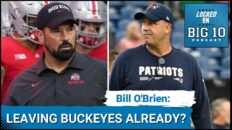 Bill O'Brien