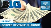 Revenue Share